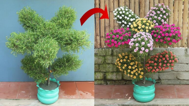 Diese geniale Idee mit Plastikflaschen verwandelt deinen Garten völlig …
