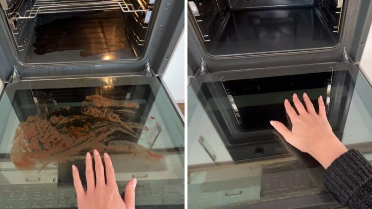 Dieser vergessene Trick reinigt deinen Ofen mühelos und sorgt für strahlende Ergebnisse…