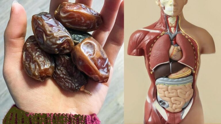 Dieser vergessene Trick zeigt, was passiert, wenn du täglich Datteln isst…