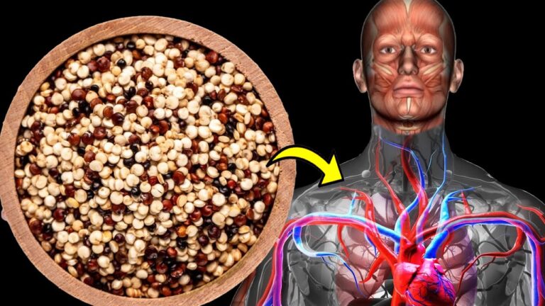 7 erstaunliche Vorteile von Quinoa für deinen Körper täglich entdecken