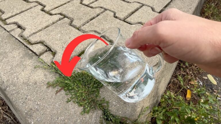 10 geniale Tipps: So verschwinden Unkräuter im Handumdrehen!