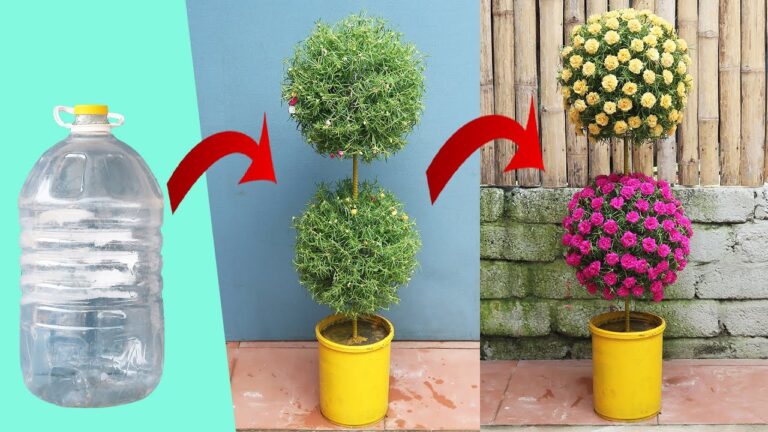 10 kreative Ideen für vertikale Gärten aus Plastikflaschen entdecken!