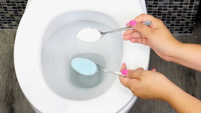 5 einfache Geheimtipps für makellose Toiletten ganz ohne teure Produkte!
