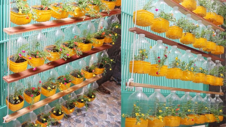 10 kreative Ideen: Plastikwasserflaschen in wunderschöne Hängetöpfe verwandeln!