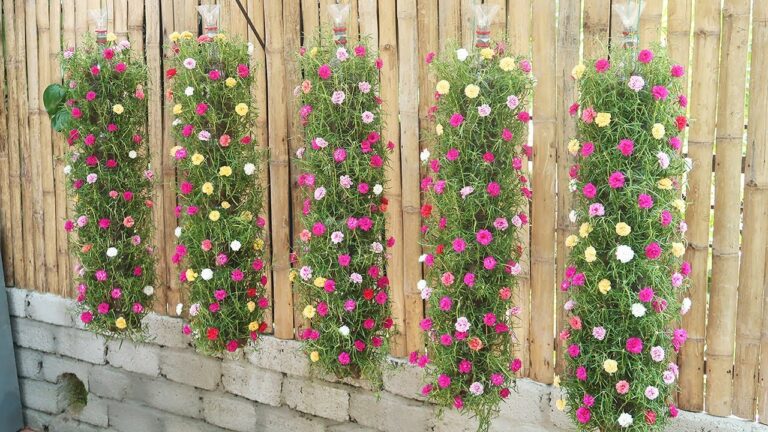 5 Schritte zu deinem vertikalen DIY-Hängergarten für kleine Räume mit Portulaca