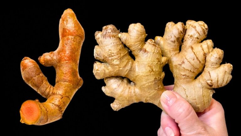 35 Jahre gesund: So bleibst du fit und klar im Kopf! Entdecke meine Geheimnisse!