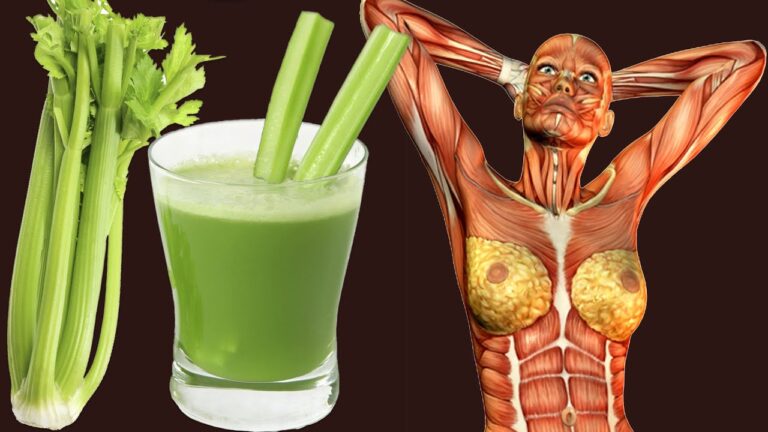 7 erstaunliche Vorteile von Selleriesaft jeden Morgen für deine Gesundheit entdecken
