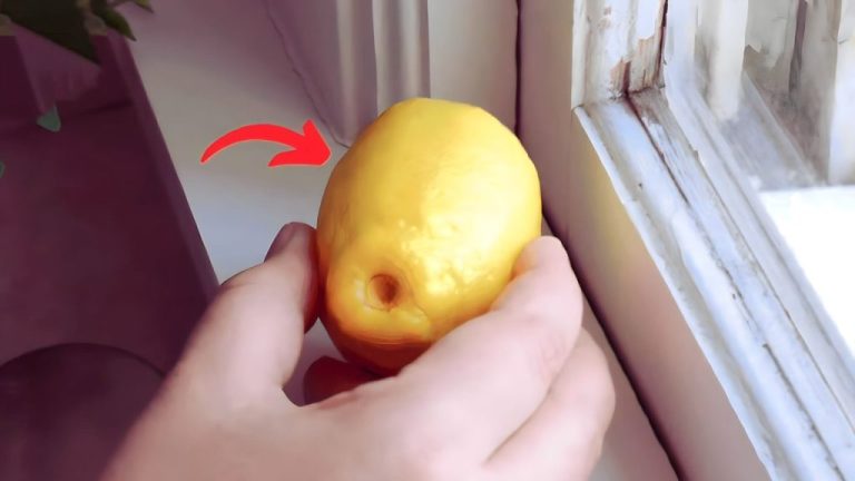 Legen Sie 4 Zitronen auf das Fensterbrett und profitieren Sie davon