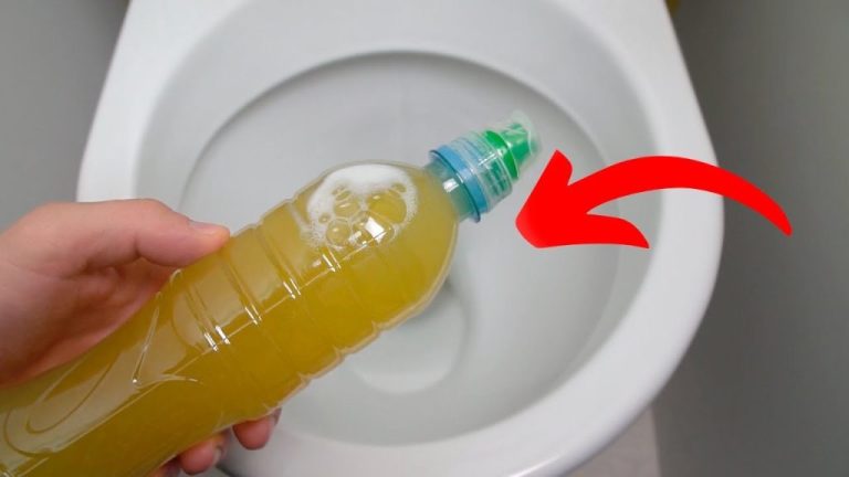 Das Geheimnis der Klempner: Ein unerwartetes Ereignis im WC
