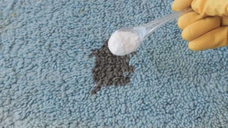 So entfernen Sie mühelos alle Flecken aus dem Teppich