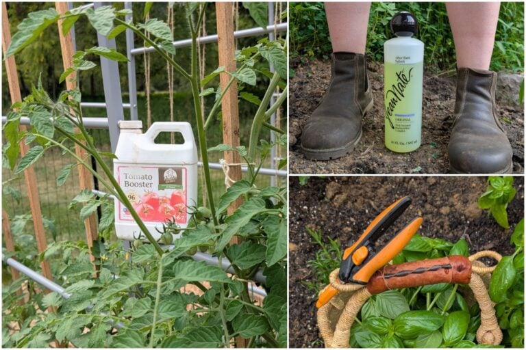 Die beliebtesten Gartenprodukte für 2025