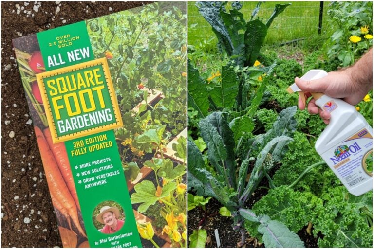 5 beliebte Garten-Trends, die ich nicht mehr in meinem Garten nutze
