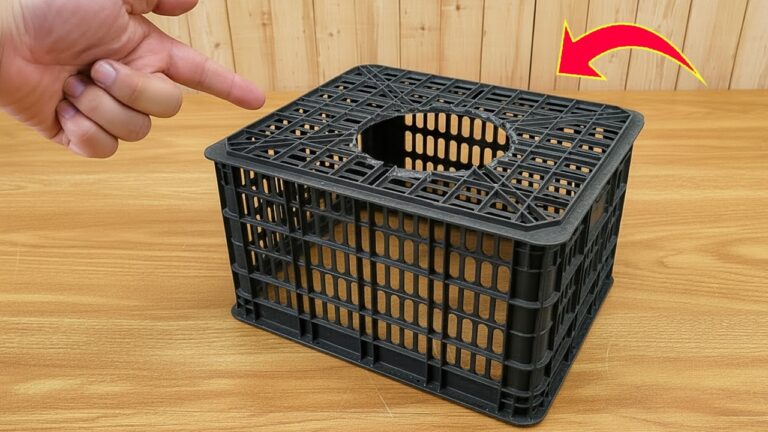 7 kreative Ideen, wie du alte Plastikfrüchtebehälter wiederverwendest!