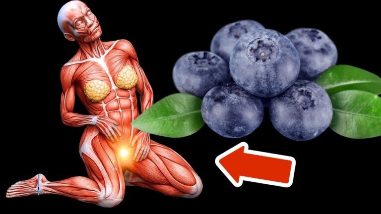 So veränderten 30 Tage mit Blaubeeren ihr Leben radikal! Entdecke den Geheimtipp!