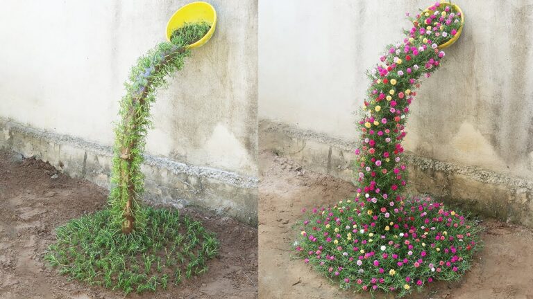 7 kreative Ideen für einen bezaubernden Portulaca-Wasserfallgarten im kleinen Garten
