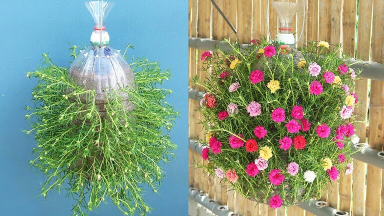10 kreative Ideen für ein automatisches Bewässerungssystem aus Plastikflaschen
