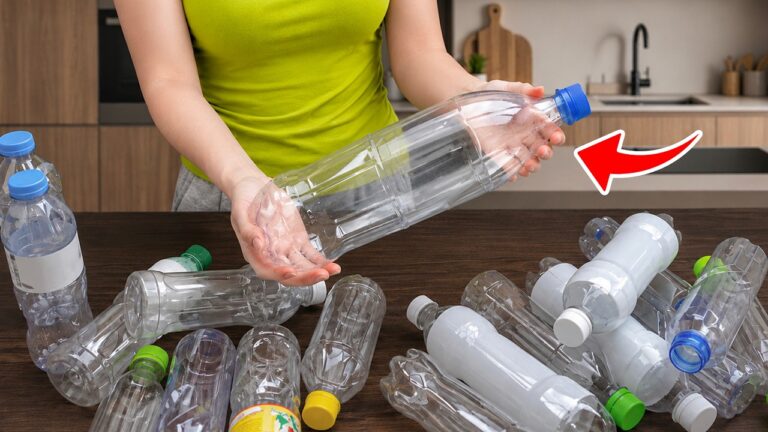 10 geniale Ideen, wie du Plastikflaschen kreativ recyceln kannst!