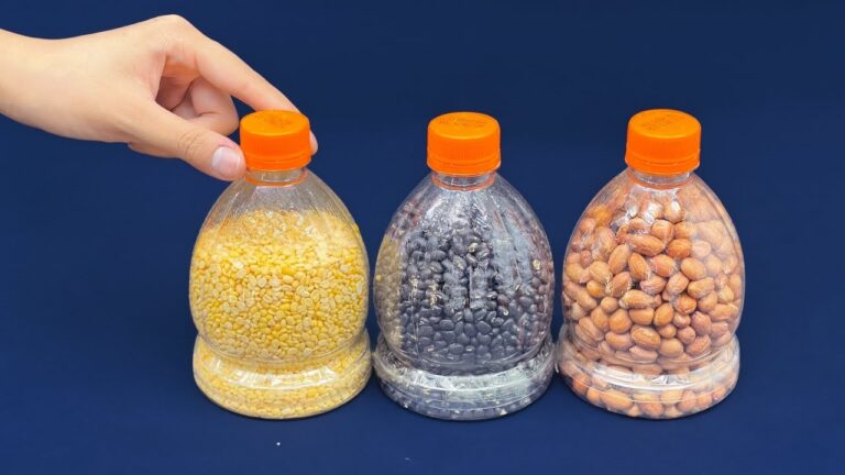 6 geniale Ideen zum Recycling von Plastikflaschen, die dein Zuhause verwandeln!