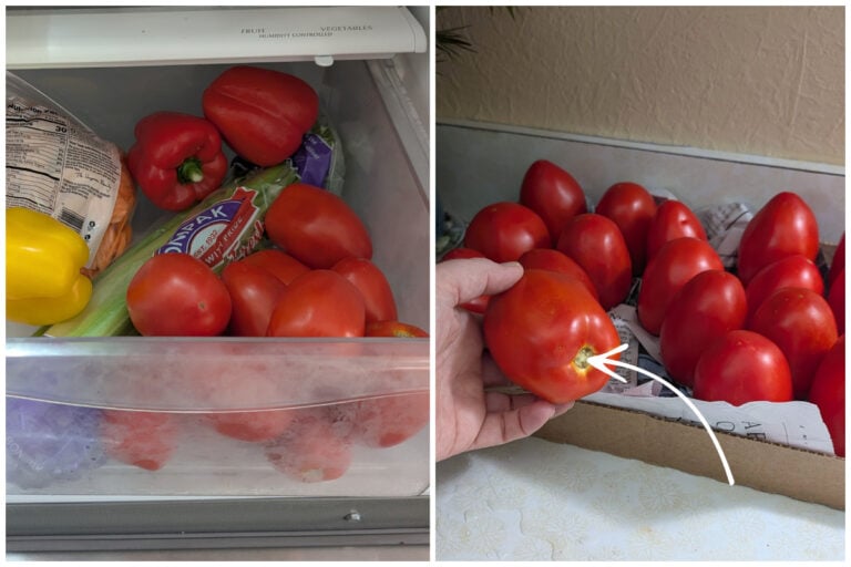 Verhindere, dass deine Tomaten im Kühlschrank verderben – So machst du es richtig